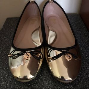Black swan flats (gold) also have in black